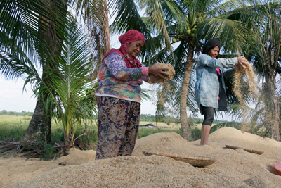 09-07-FAO-rice-sifting