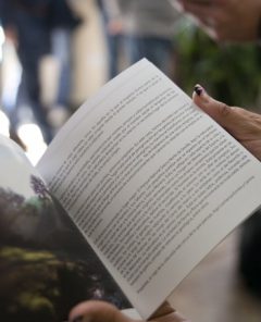 Guia ermita y caminos